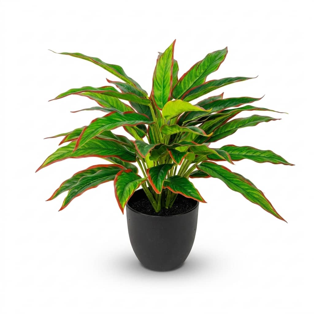 Artificial Dracaena Plant 50cm