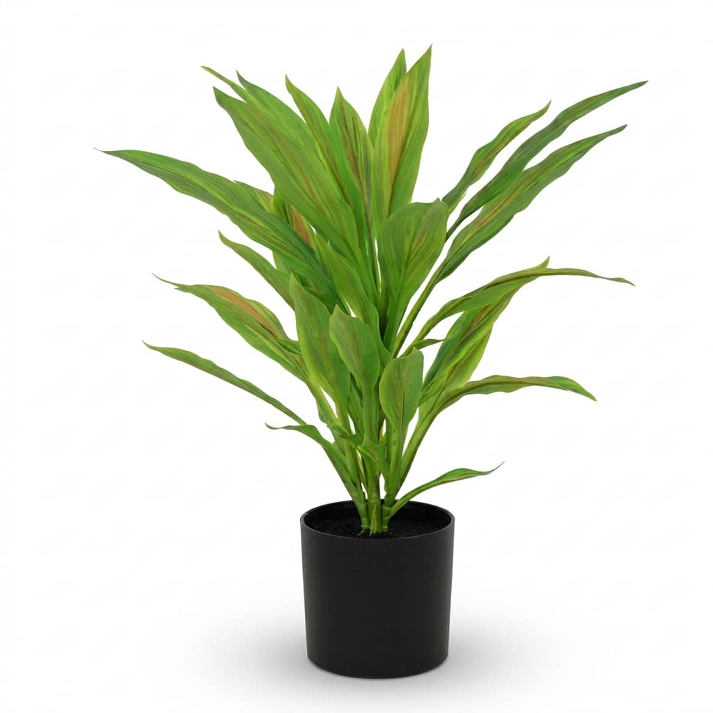 Artificial Dragon Tree Dracaena 55cm