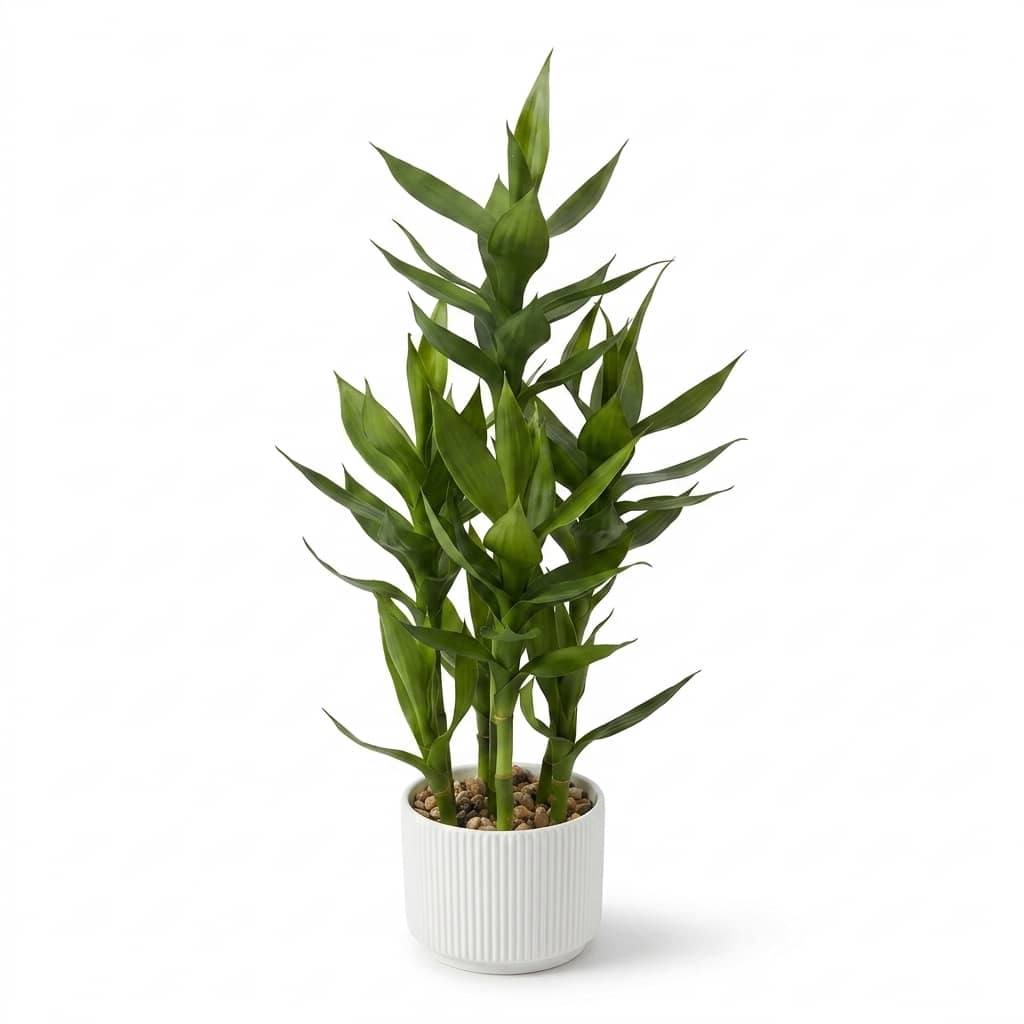 Artificial Lucky Bamboo Plant 70cm