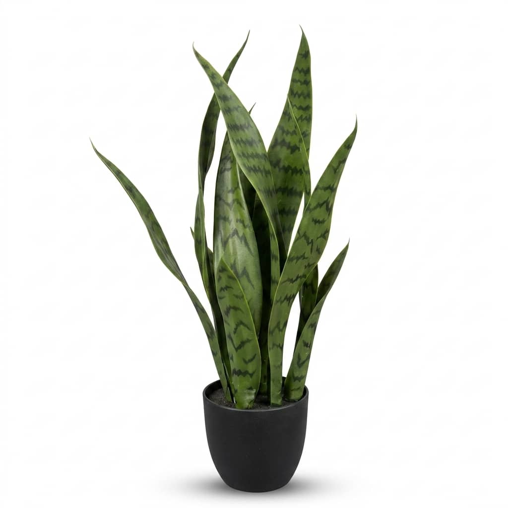 Artificial Snake Plant Green 50cm