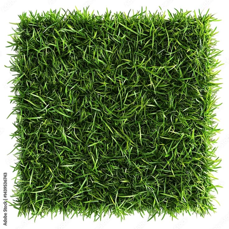 Luxury Turf Terrace