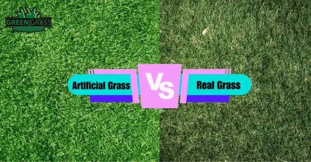 Artificial Grass VS Real Grass : Which Should Choose?