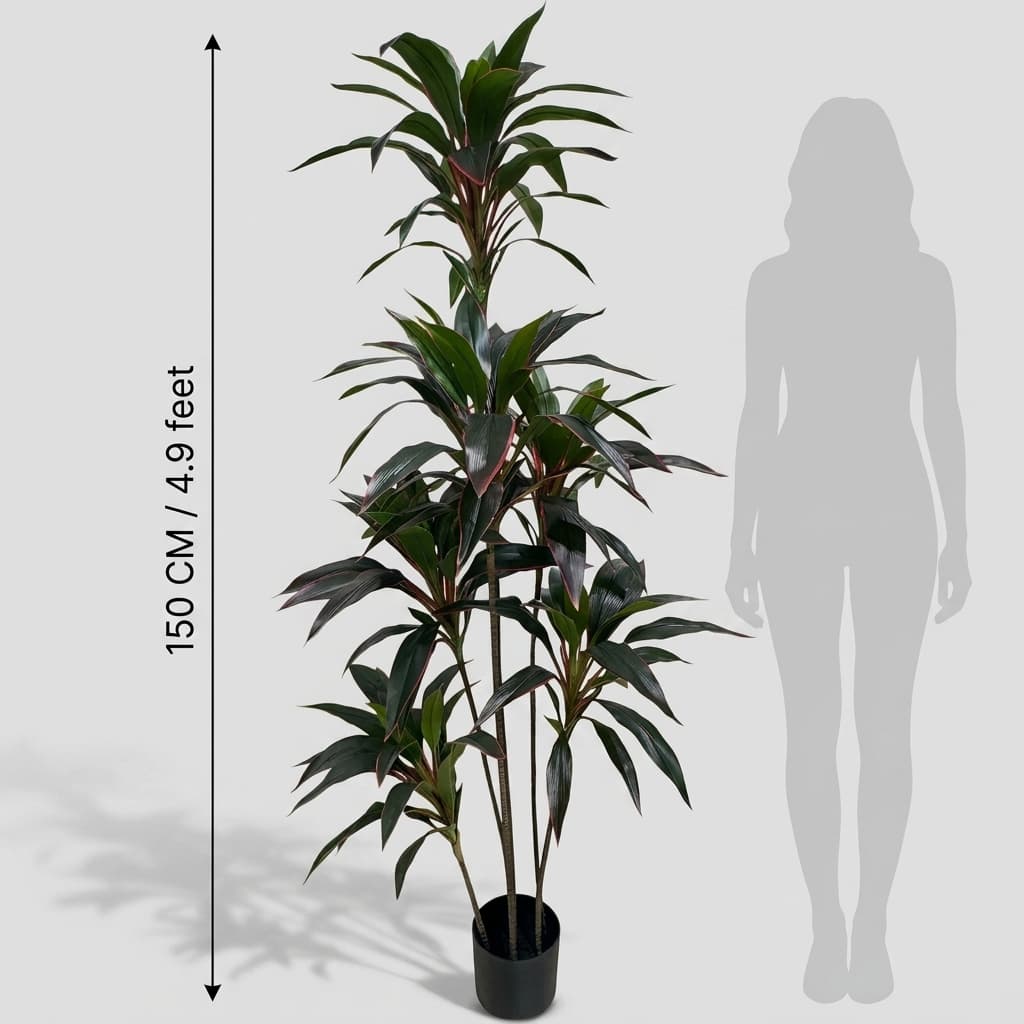 Dracaena Fragrans Multi-Stem Tree 150cm detail 3