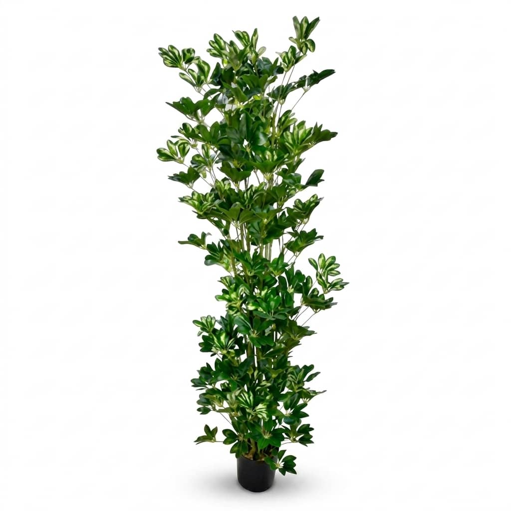 190cm Premium Artificial Schefflera