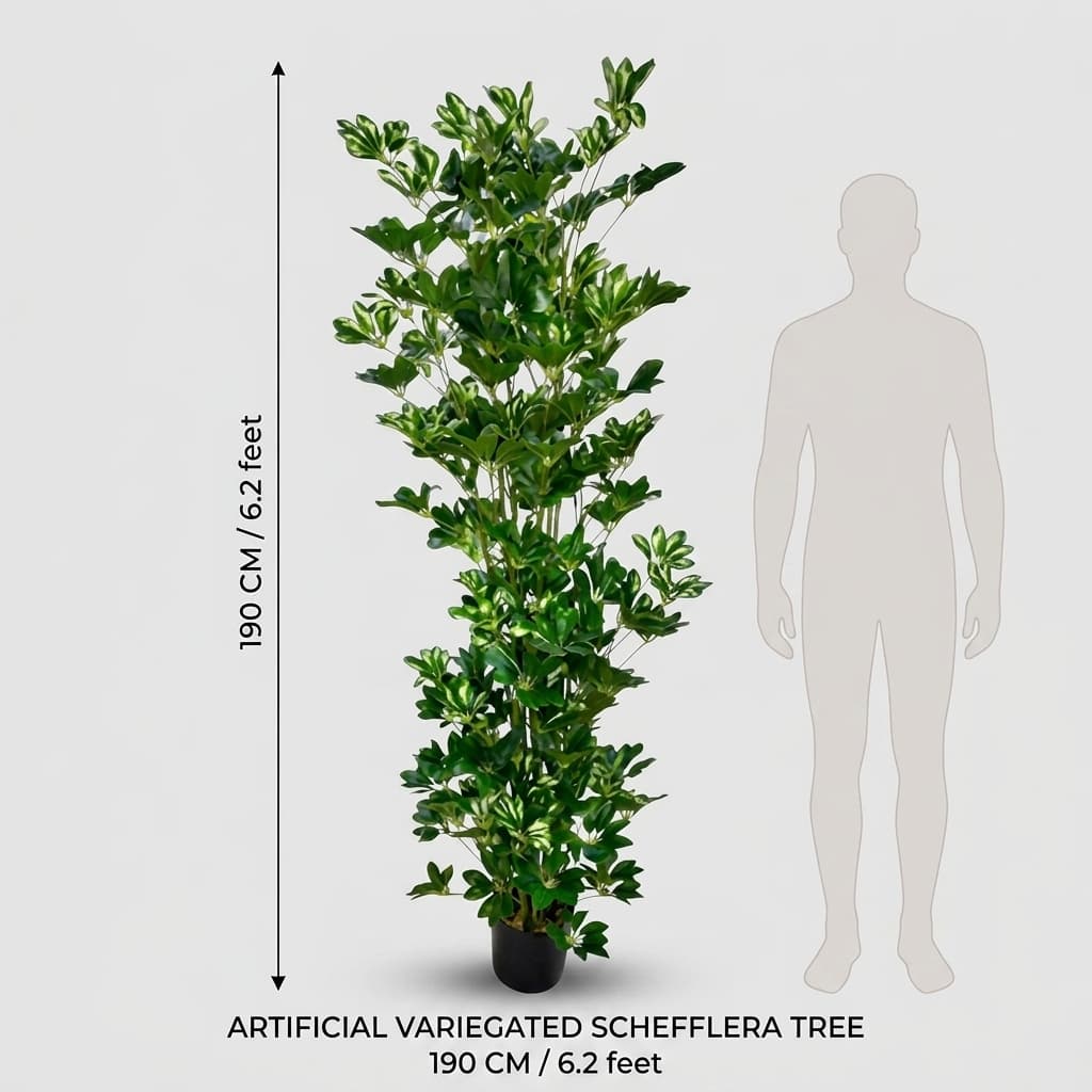 190cm Premium Artificial Schefflera detail 5